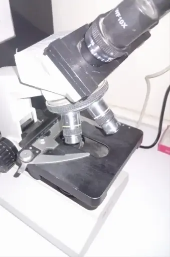 MICROSCOPE