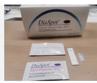 Hepatitis A Virus Test strips